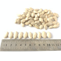 Sementes de abóbora brancas baratas vendem sementes de abóbora para venda